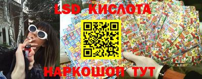 гидра Камышлов