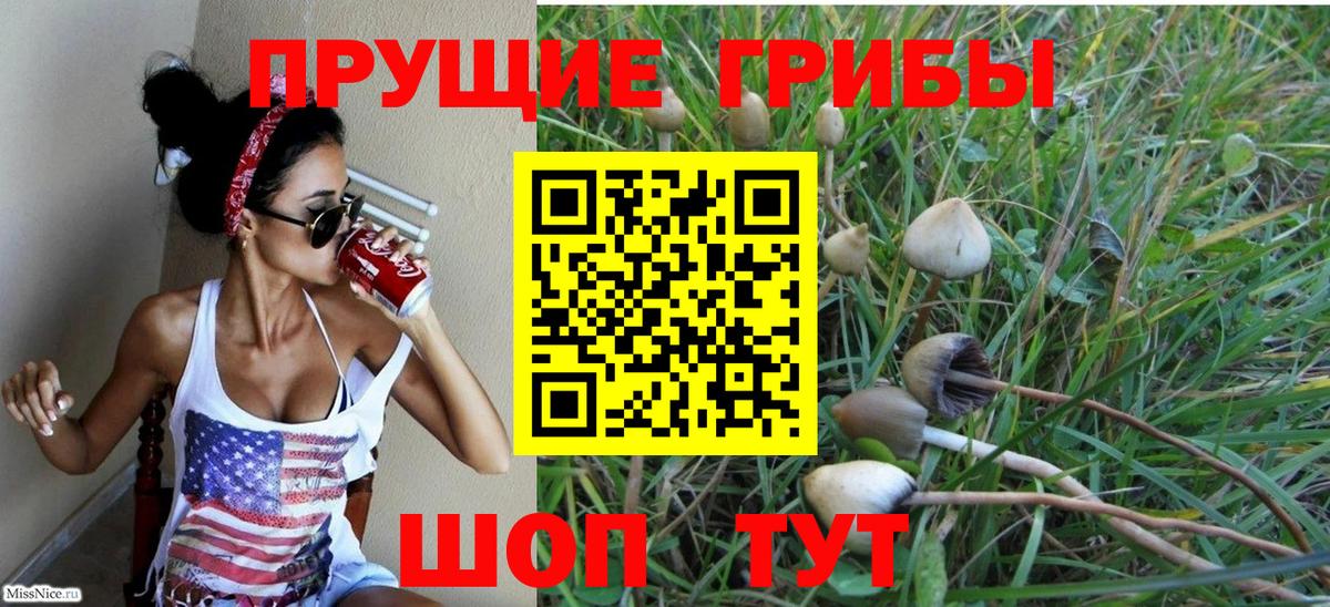 Псилоцибиновые грибы ЛСД Ленинск-Кузнецкий